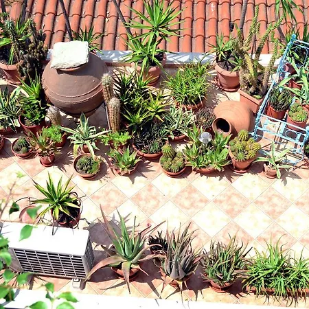 Гостевой дом Aiolos House 3*